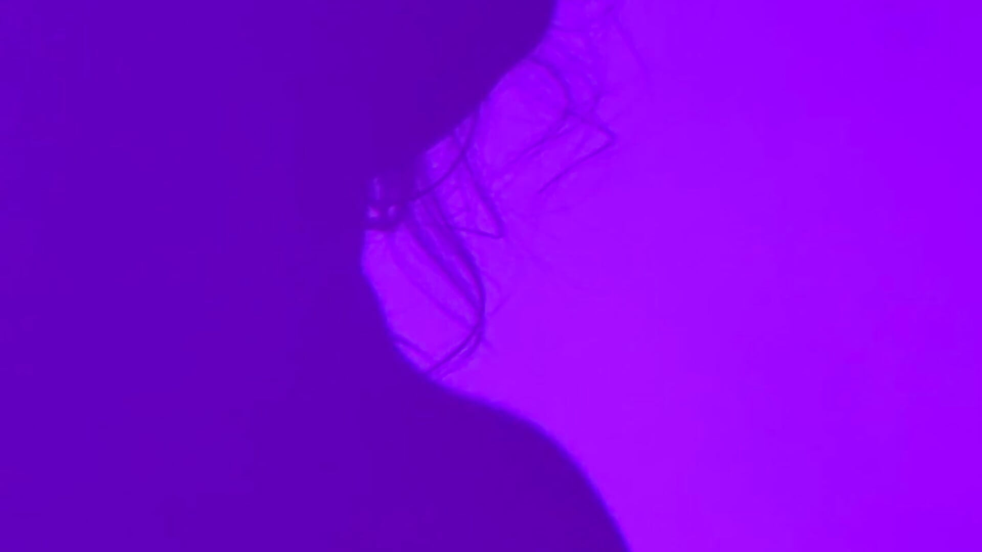 💜 - video by BeccaLenss cam model
