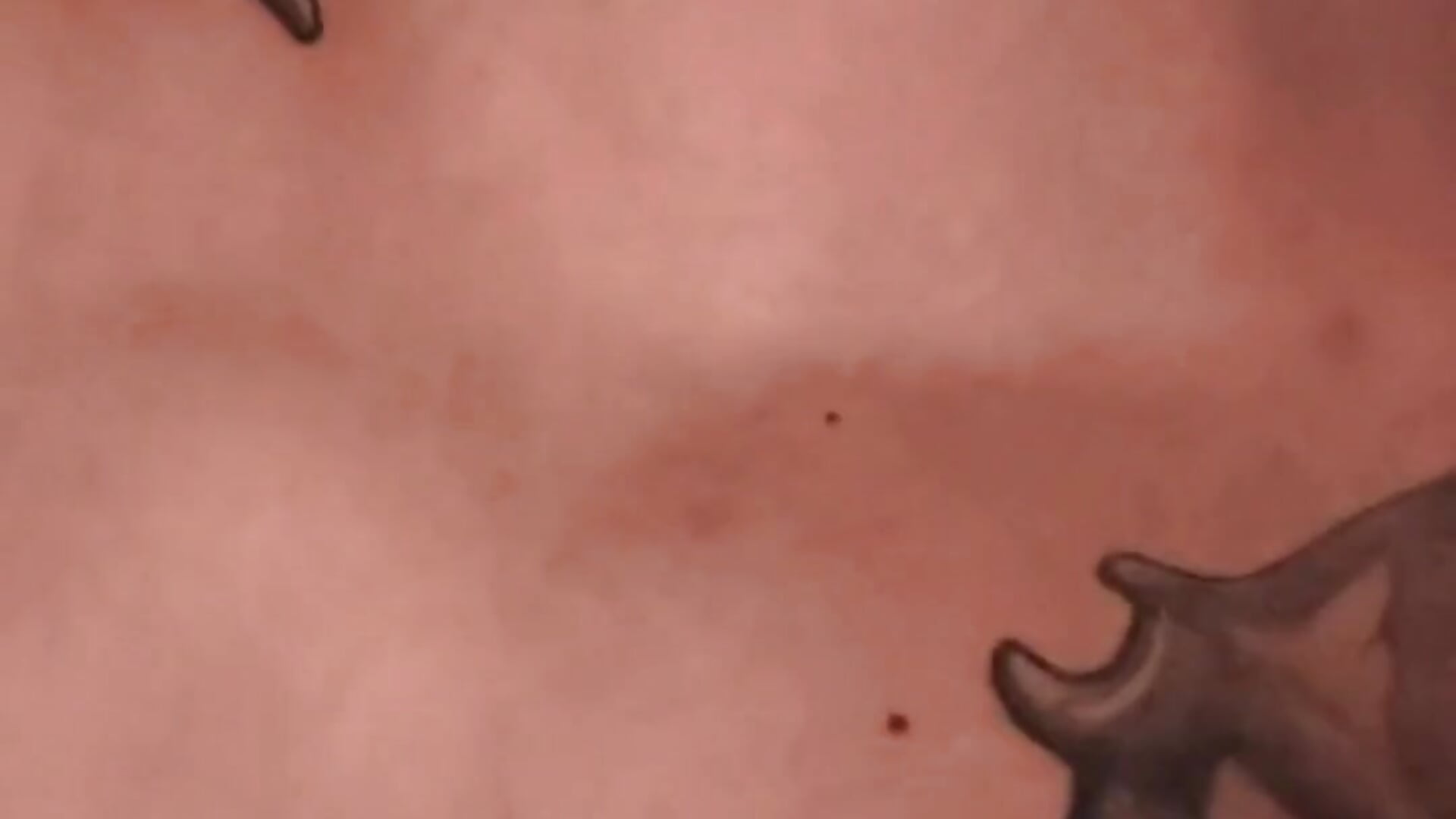 Tatto – video od webkamerové modelky Hassbyd