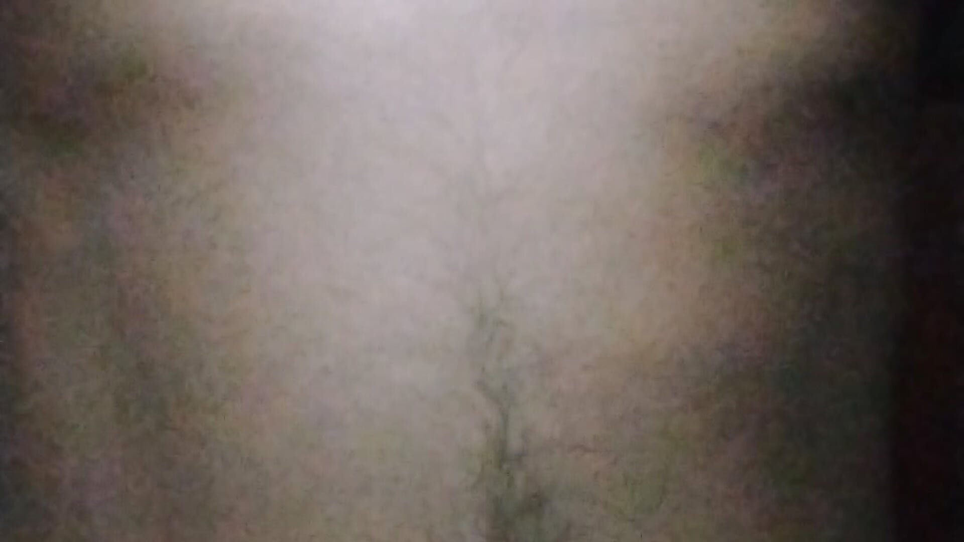 1000072597