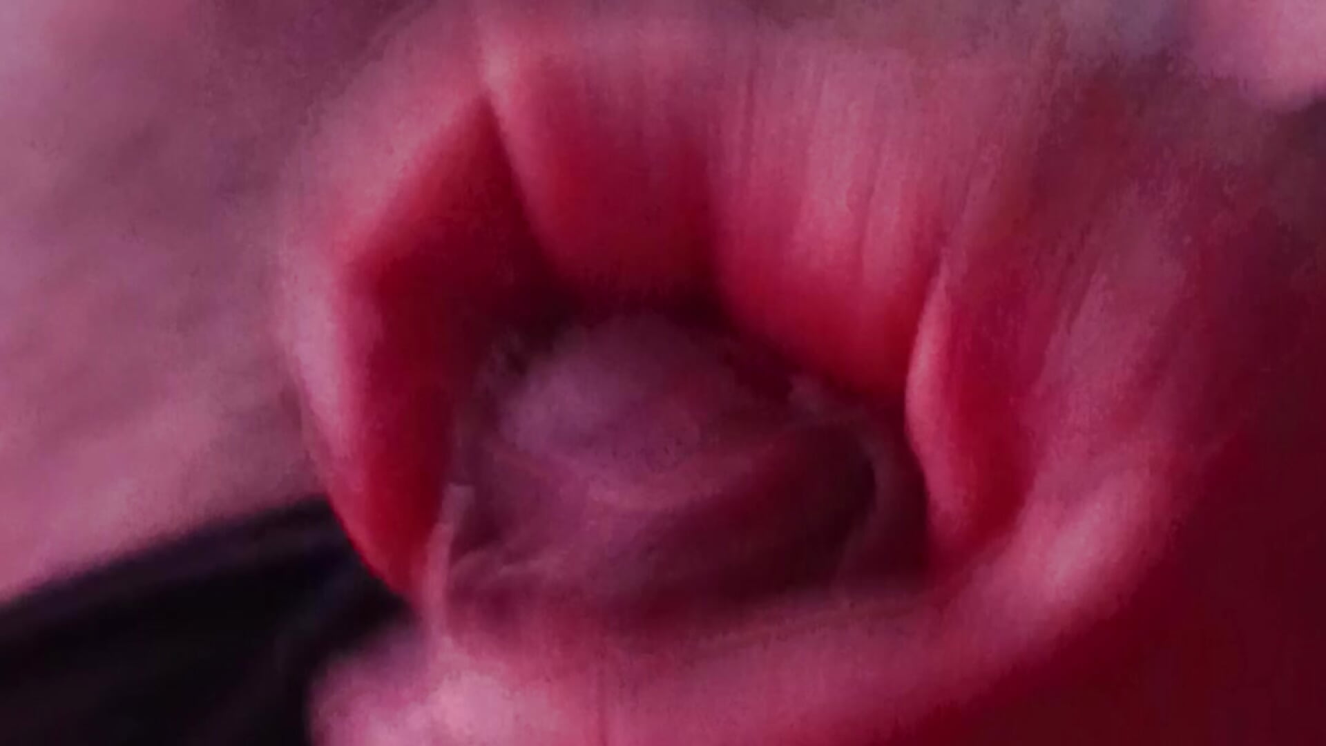 jonasxxx00