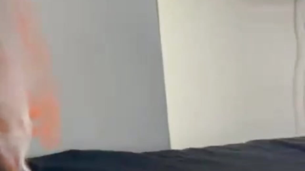 hallowen - vidéo de luxee_duo