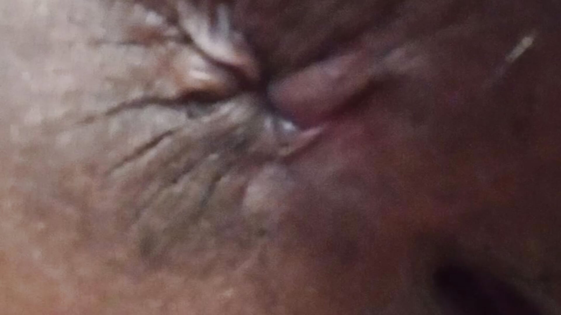 عم نيك خرم طيزى حتى نزل خرا كثير - 視頻由 toutasex 主播提供