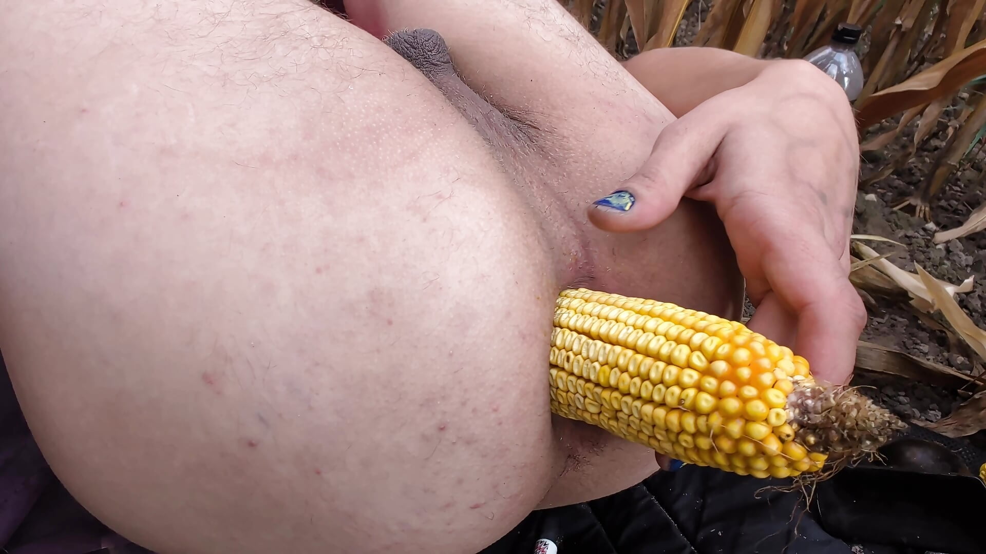 Trying to make porn with corn - Video von lov3r88 Cam-Model