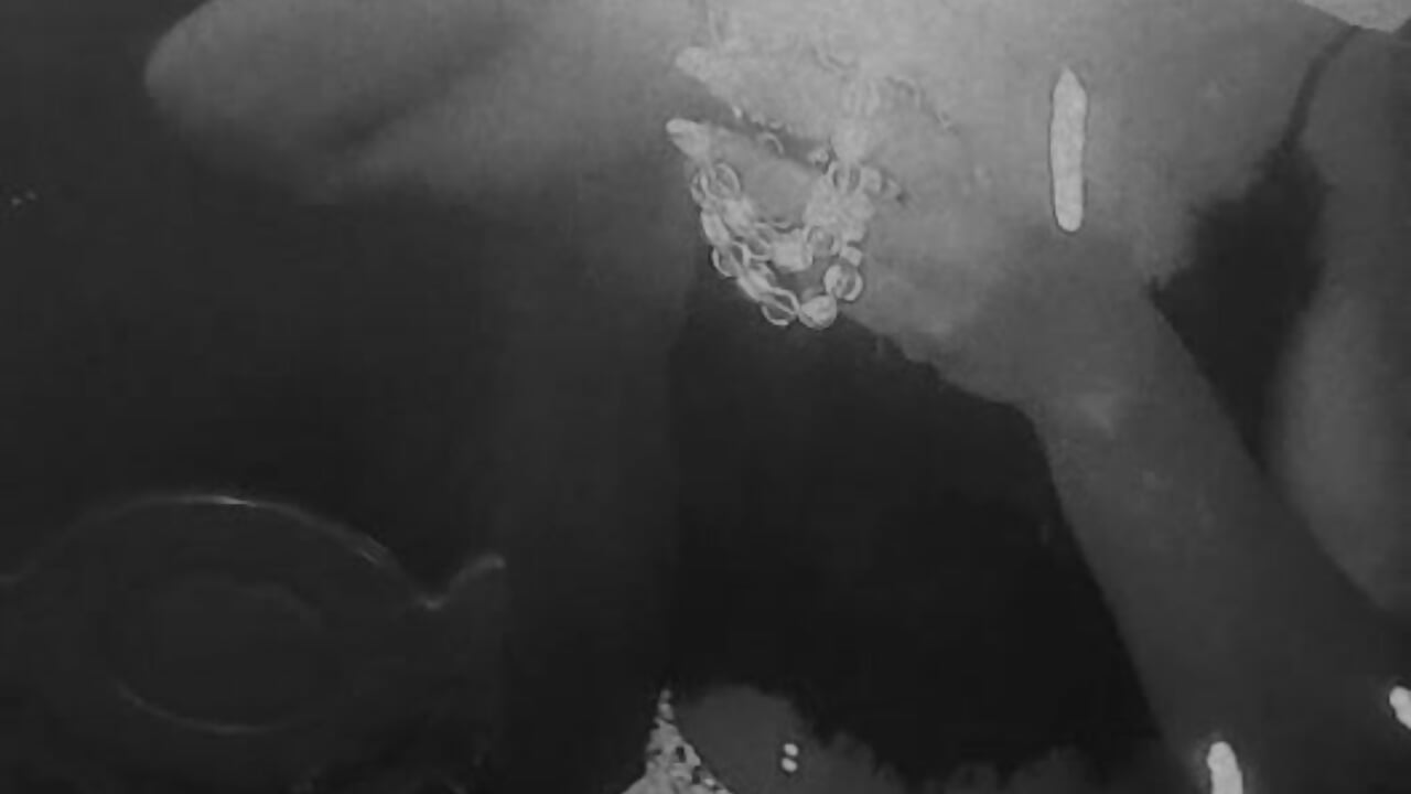 1001196990－カメラキャストのSwitbellaの動画