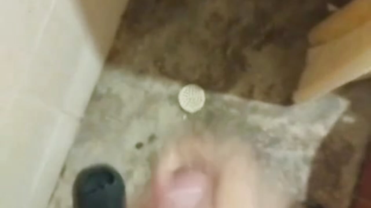 🥵🥵