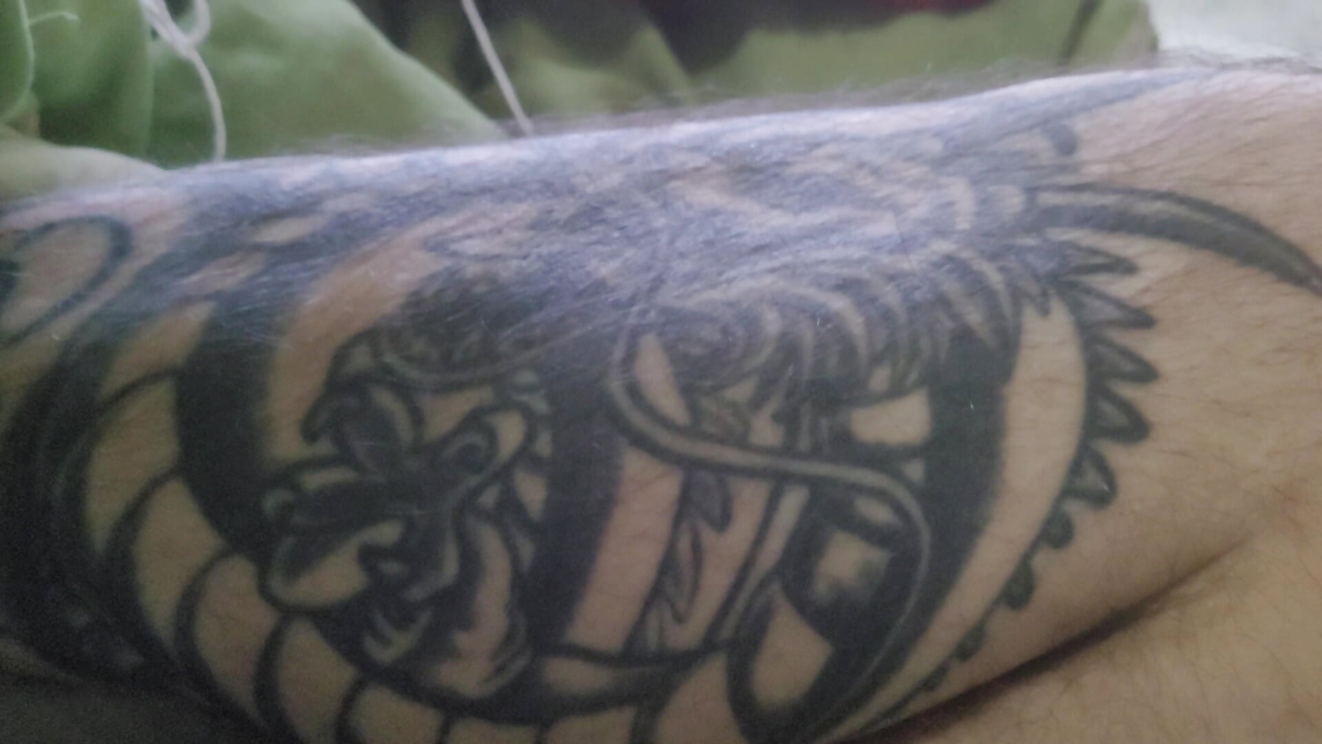 Shenlong/tatoo - video oleh Freyo88 kamera model