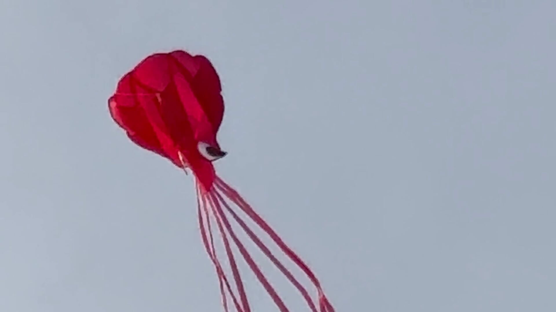 BEACH MASTER OF THE KITES