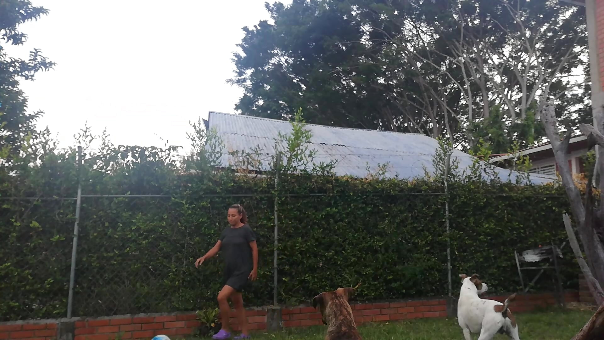 While Quarantine. I tried some football skills, lol while my dogs watching. - video by eeVaa cam model
