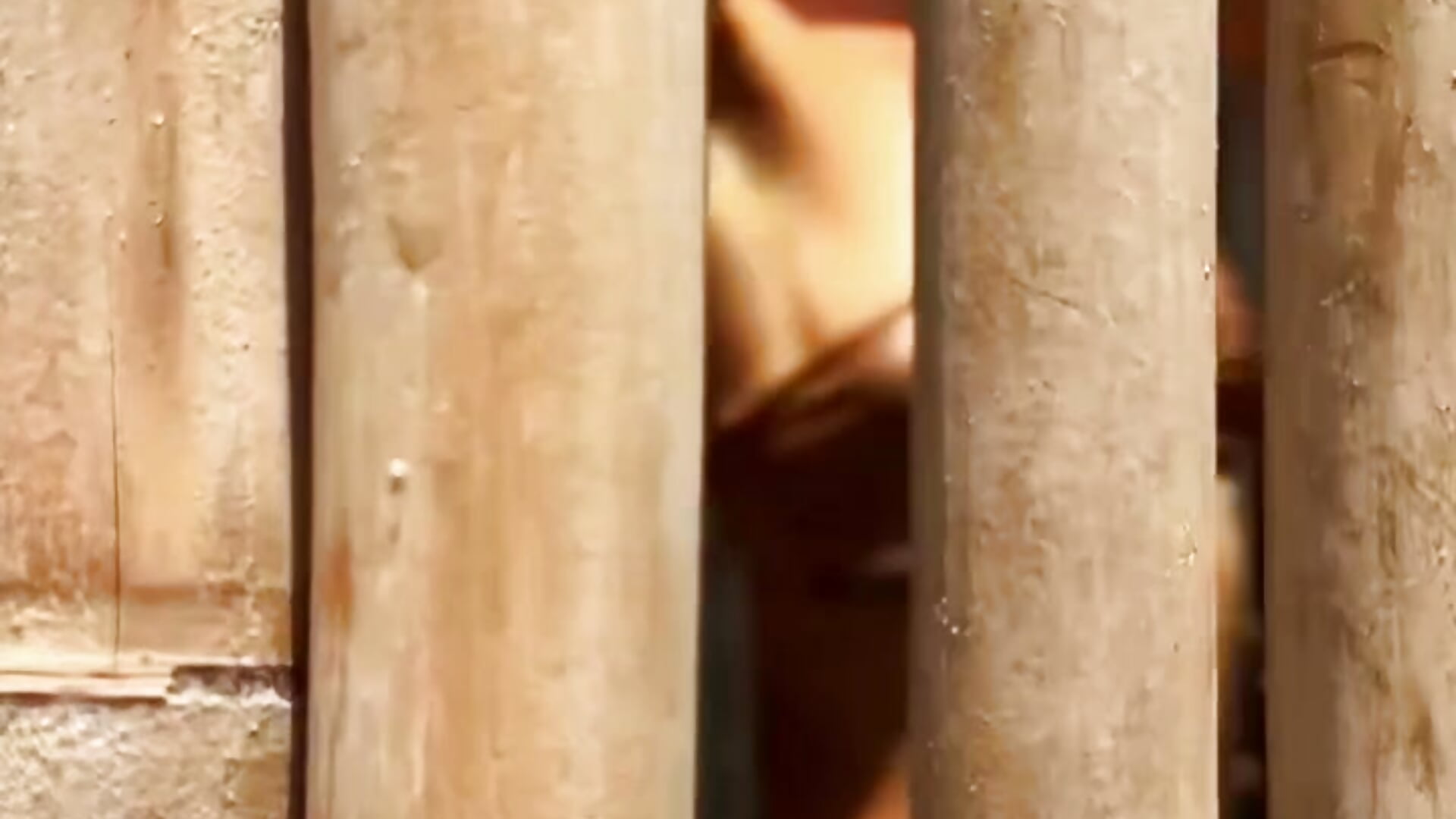 Shower – video af Borellia