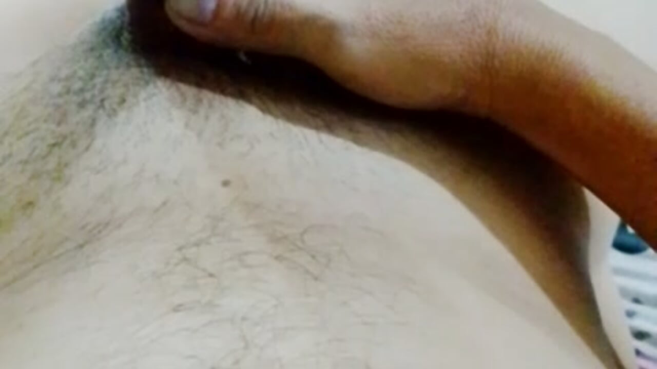 Gustocito