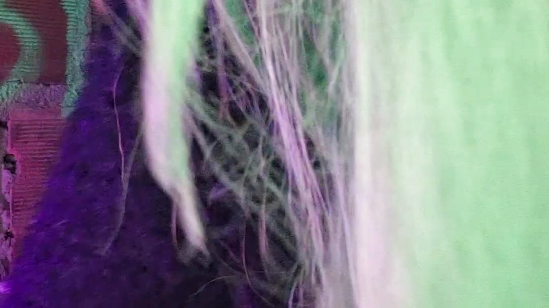 Bruxinha 💚– obcecada kameramodell videója