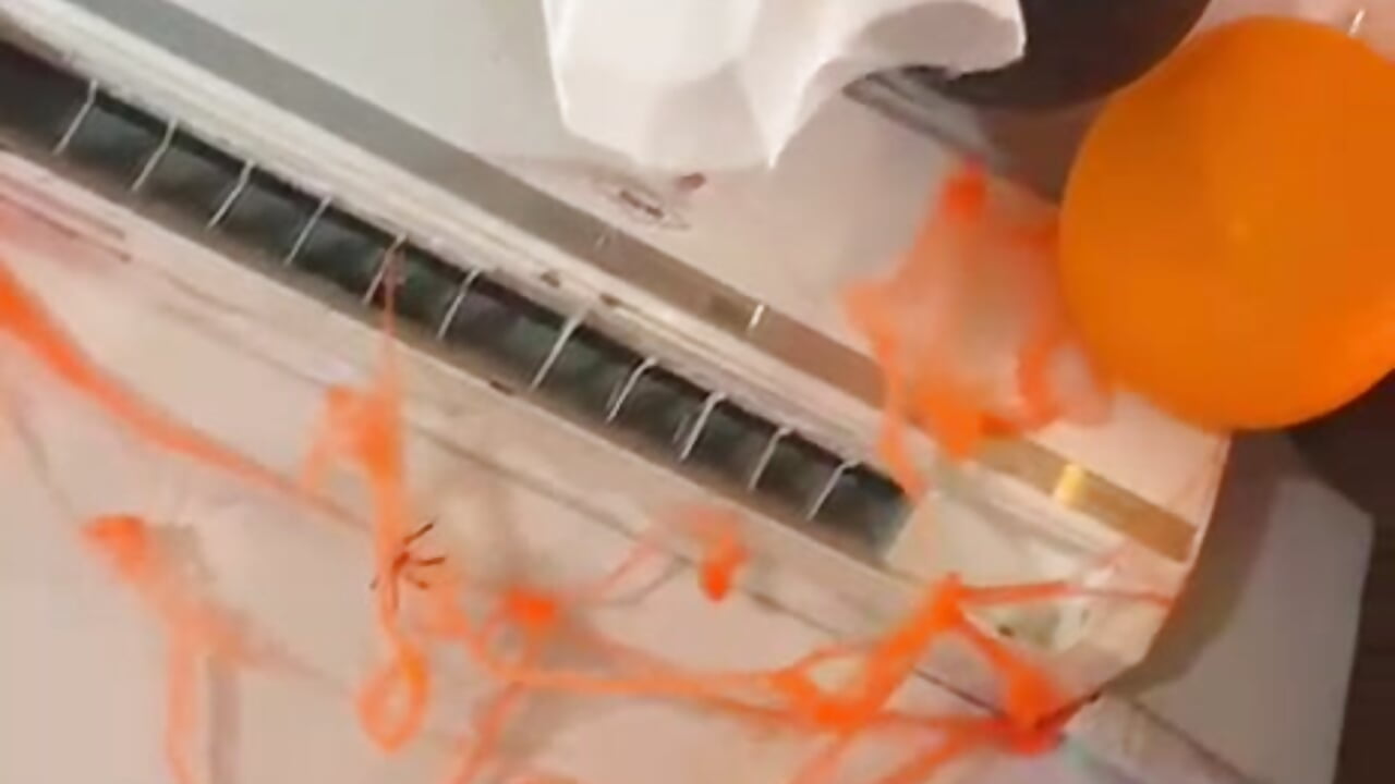 happy halloween🎃🔥 – video od webkamerové modelky ZafiroSmall