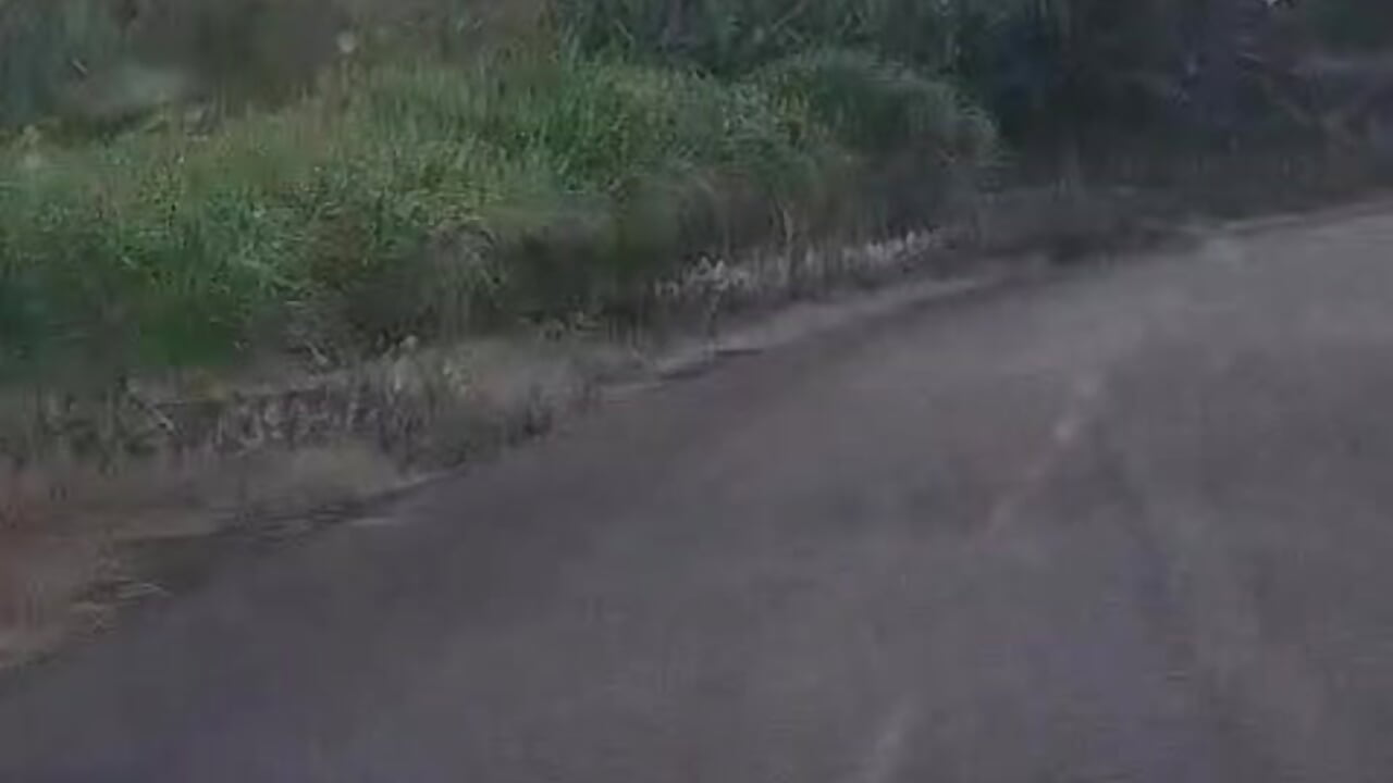 Roadtrips 😋 – видео вебкам-модели Thick_Bella