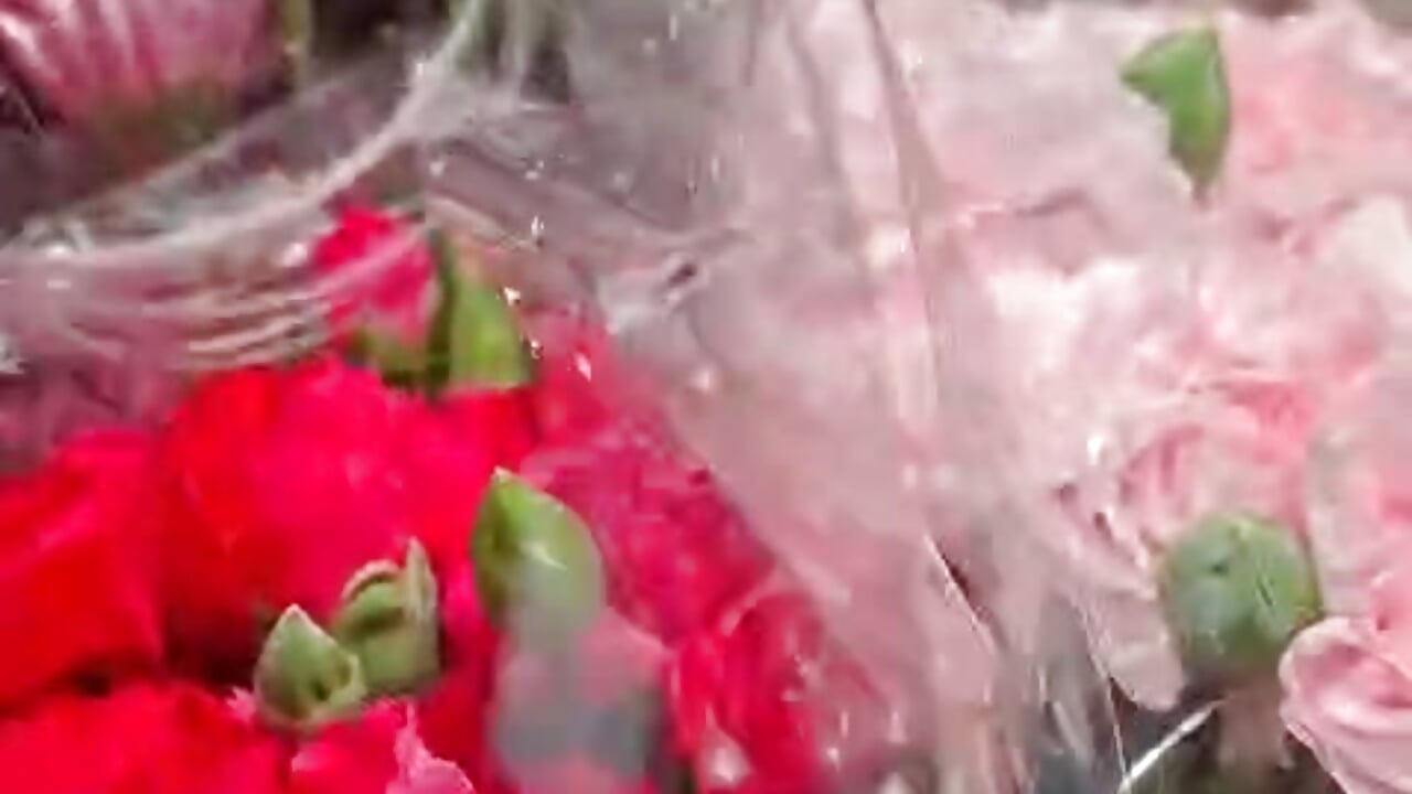 🌸​🍓Carnations are my favorite flower🌸​🍓 – video af ElliWeaver cam-model