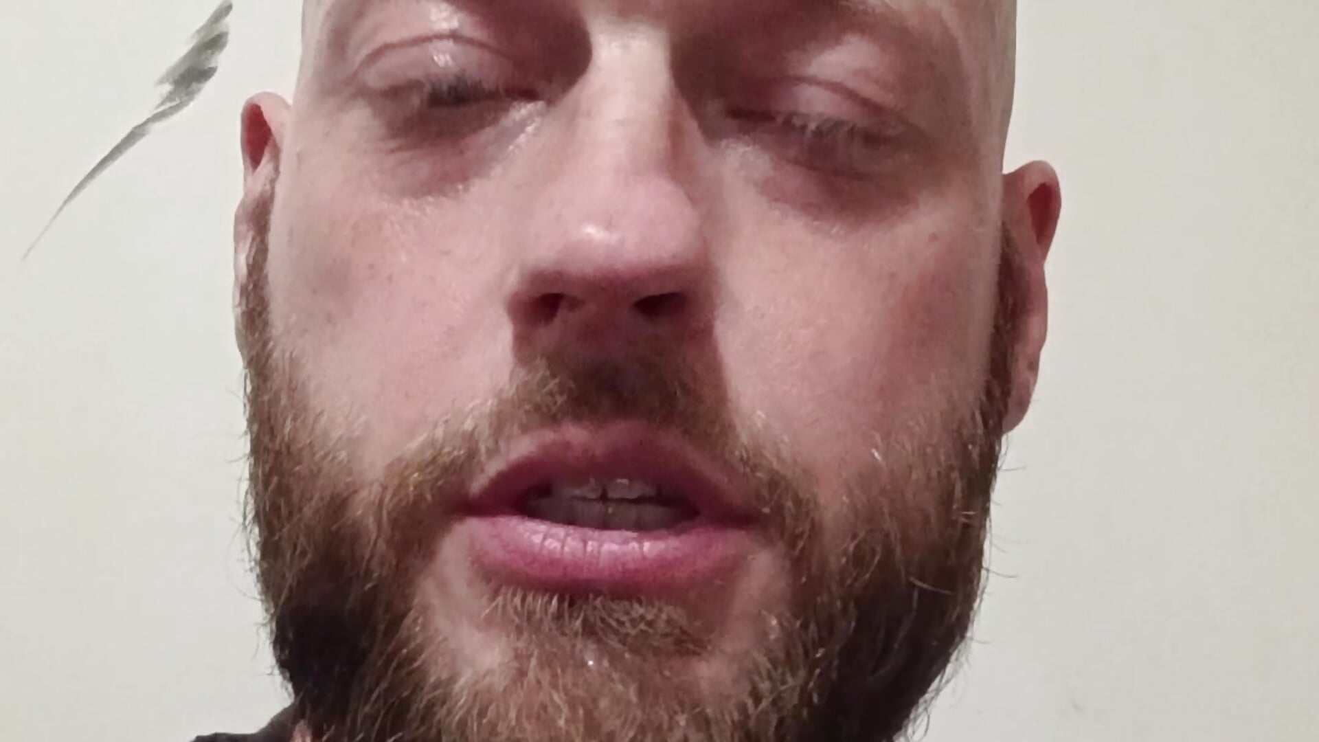 If you'd rather see my cock check my schedule! - video by LuckyBuck71 cam model