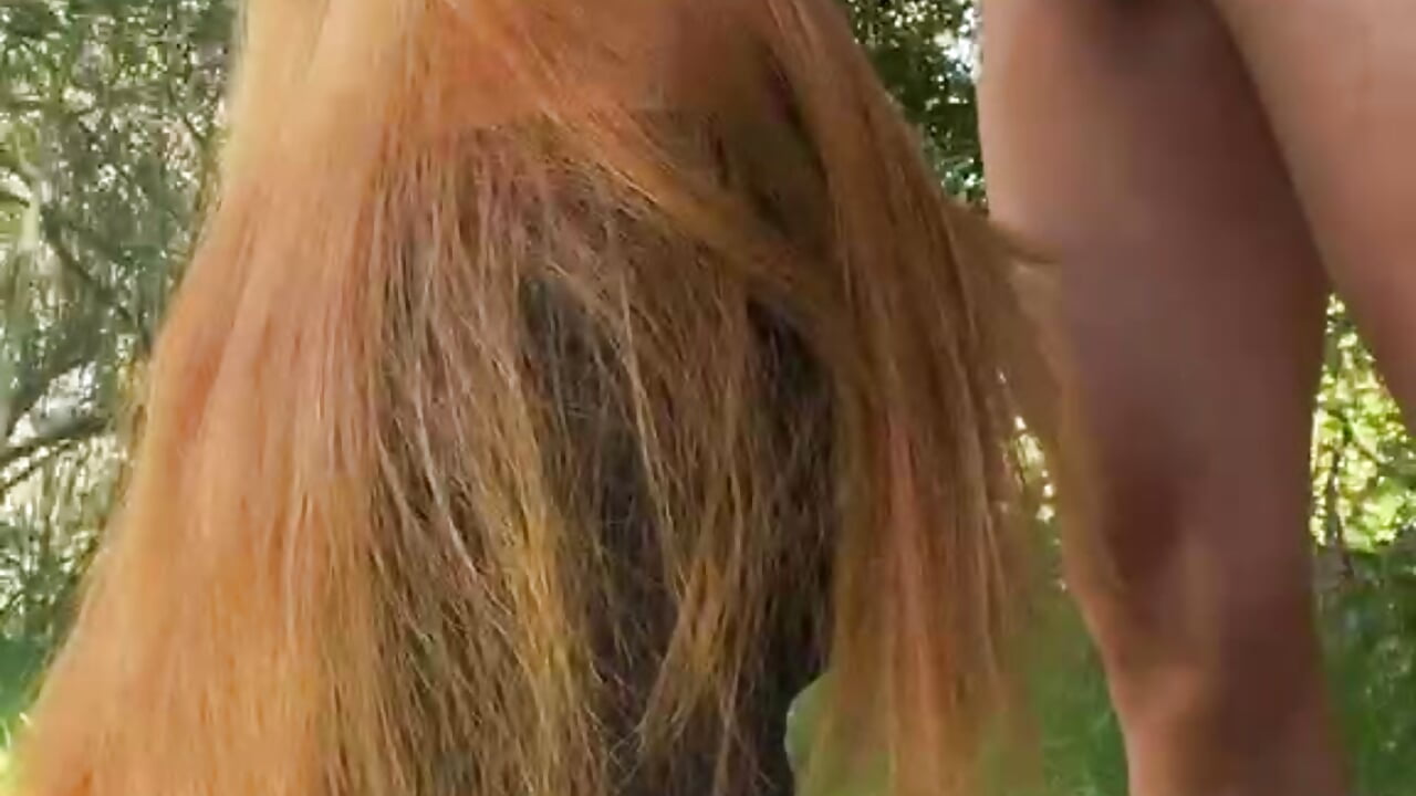 video nopor1 - video by KING_XX2 cam model
