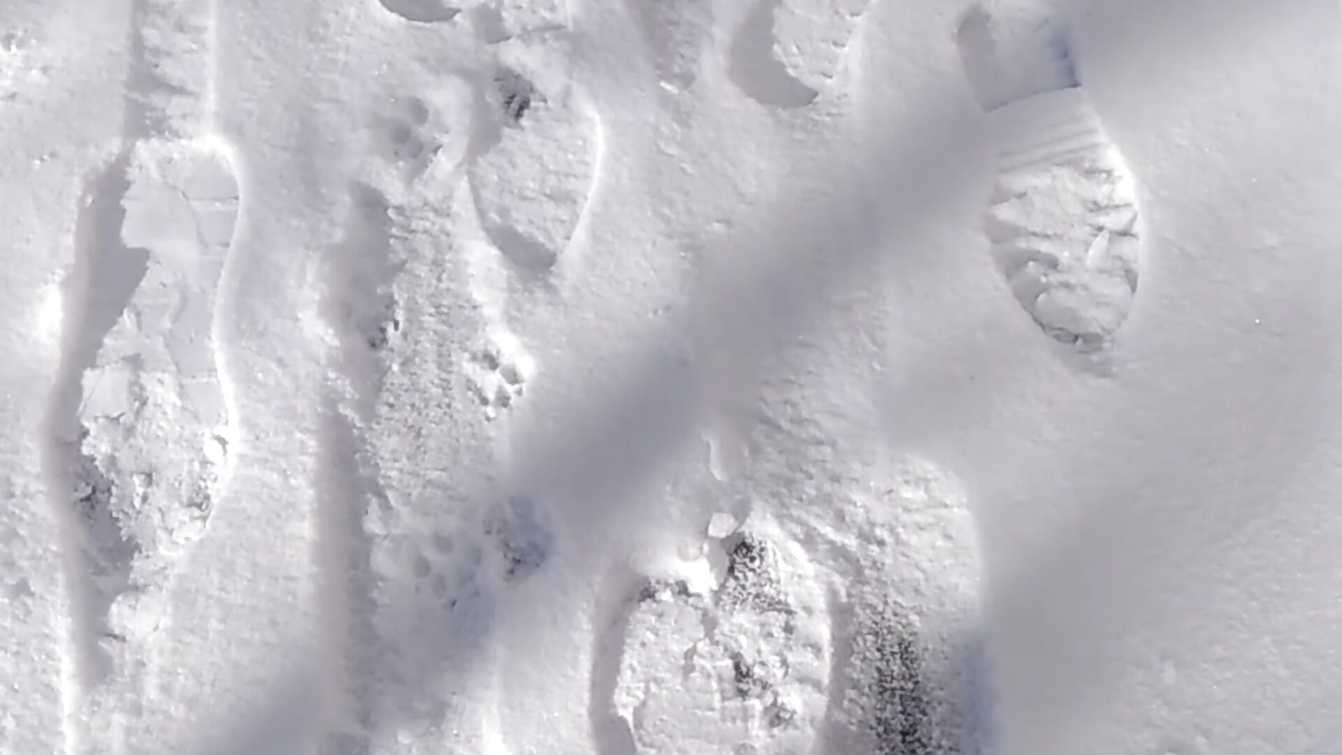 Snowy Winter - video av Passion_flame cam model