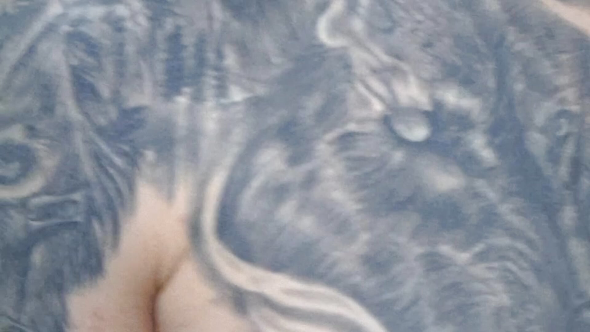 Lobosafado0523 - Cam Modell populära videor 2307