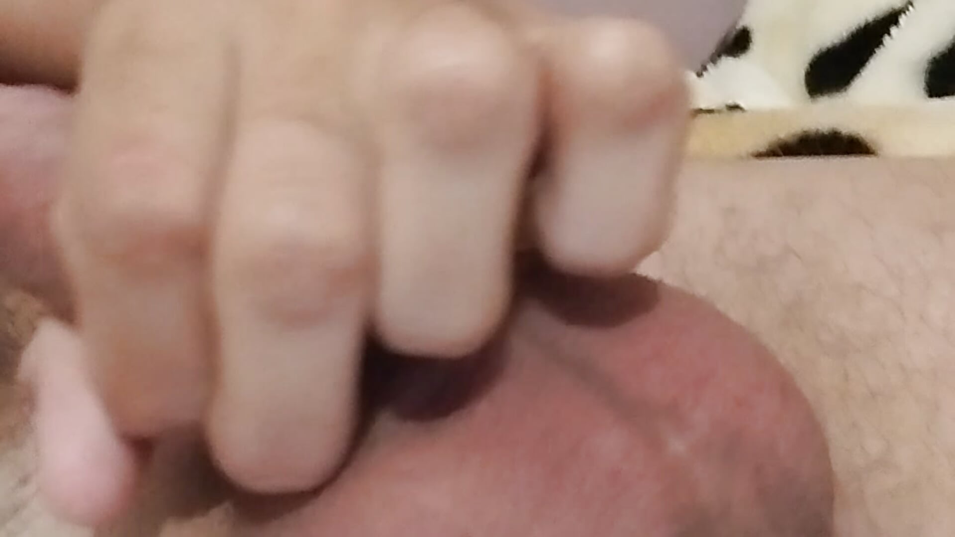 1000063159
