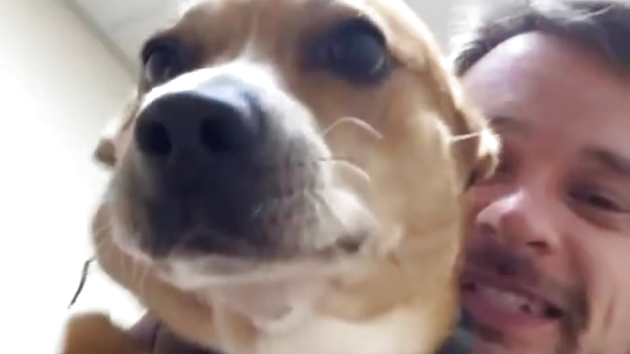 My stinky friend - video oleh RebleBabble