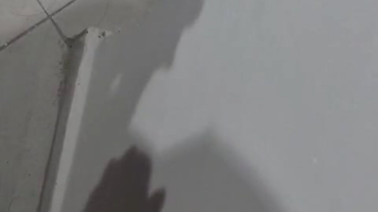 Dandome amorsh - Vídeo de Squishballs