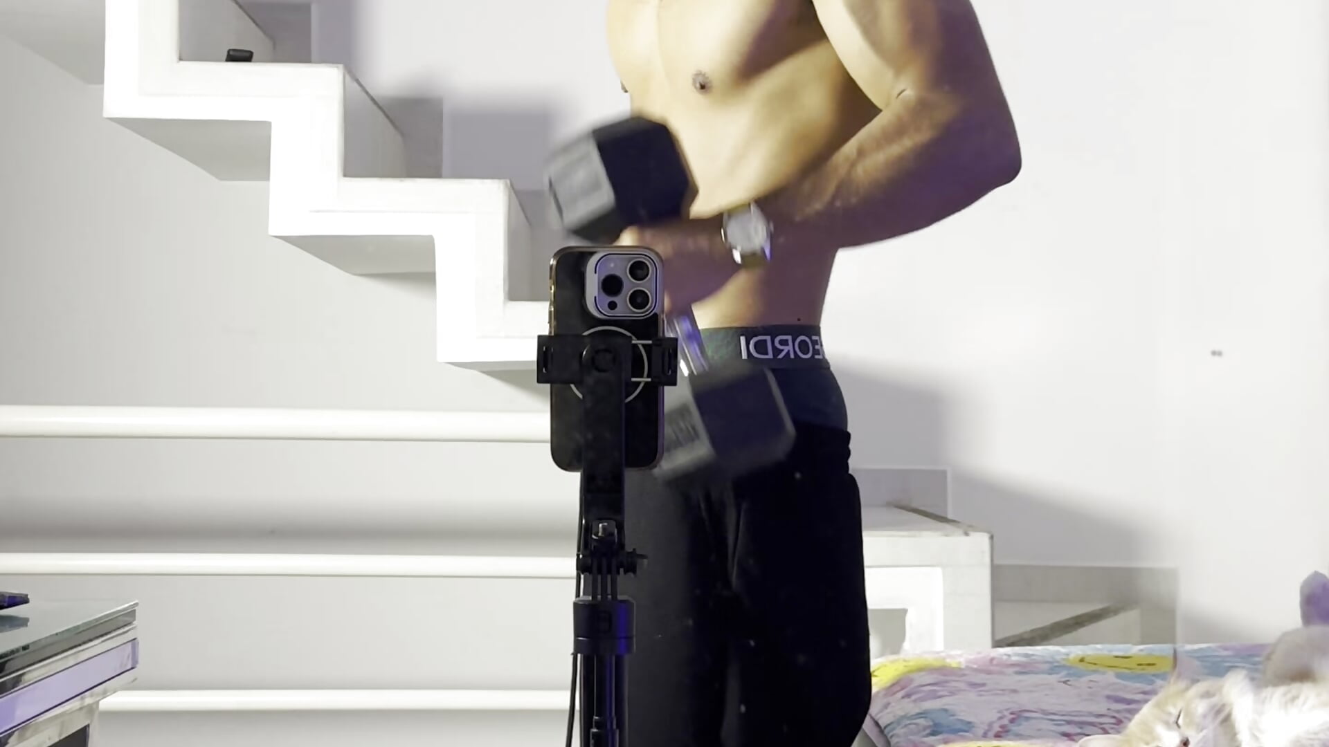 Intensity🦇 - video od modelky/modela Nicolai_Karav