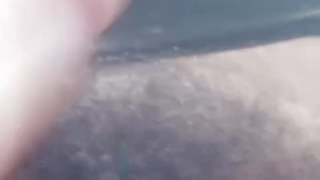 Hey love, if you’re really into hairy pussies, you’ll find one right here. - 視頻由 princes_fantasy 主播提供