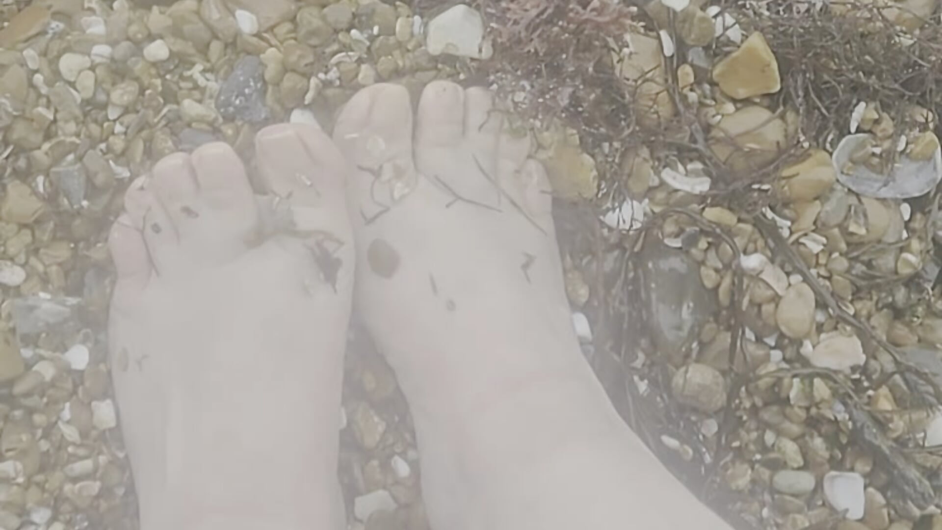 Beach stones