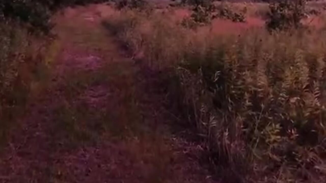Love Nature
