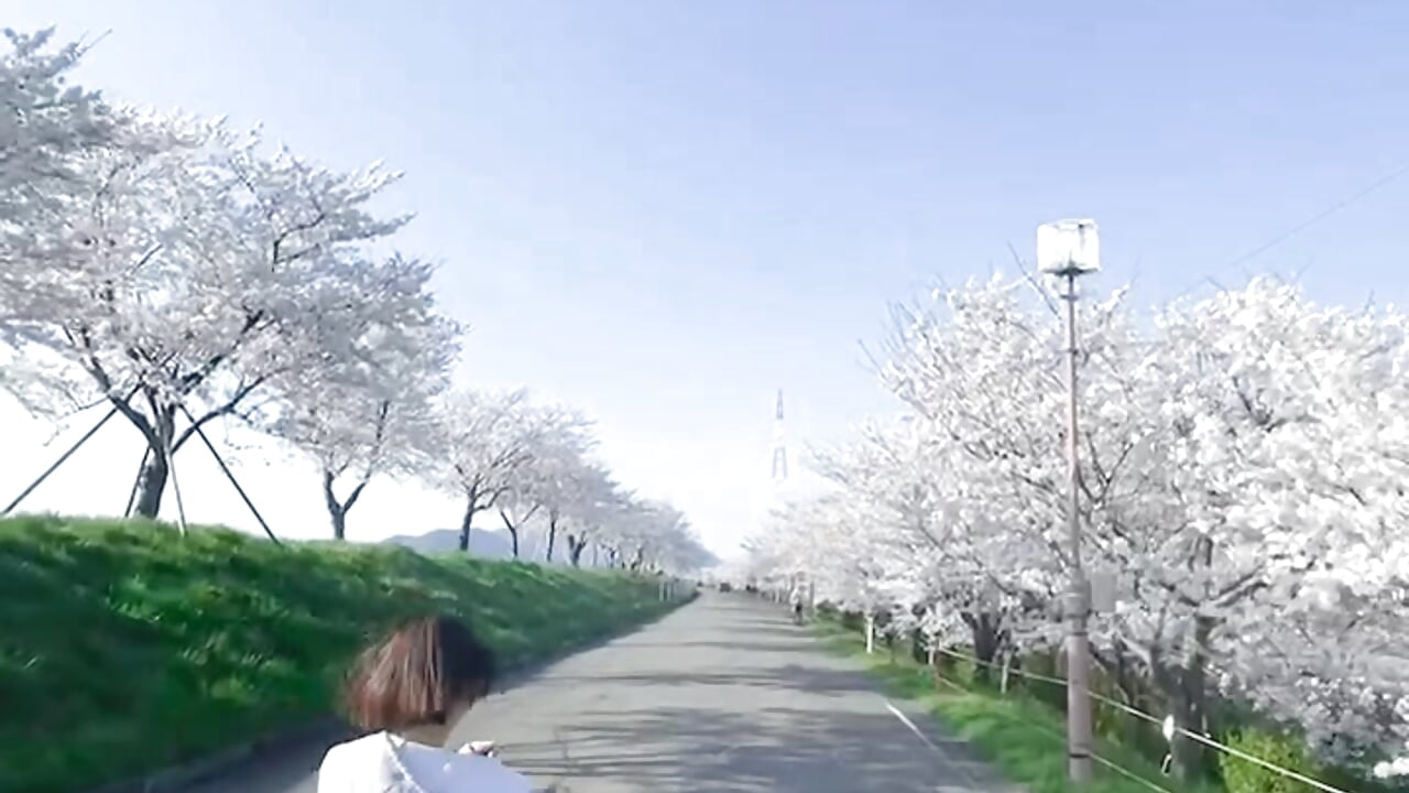 桜道 – video modela na kameri Mumei__xx