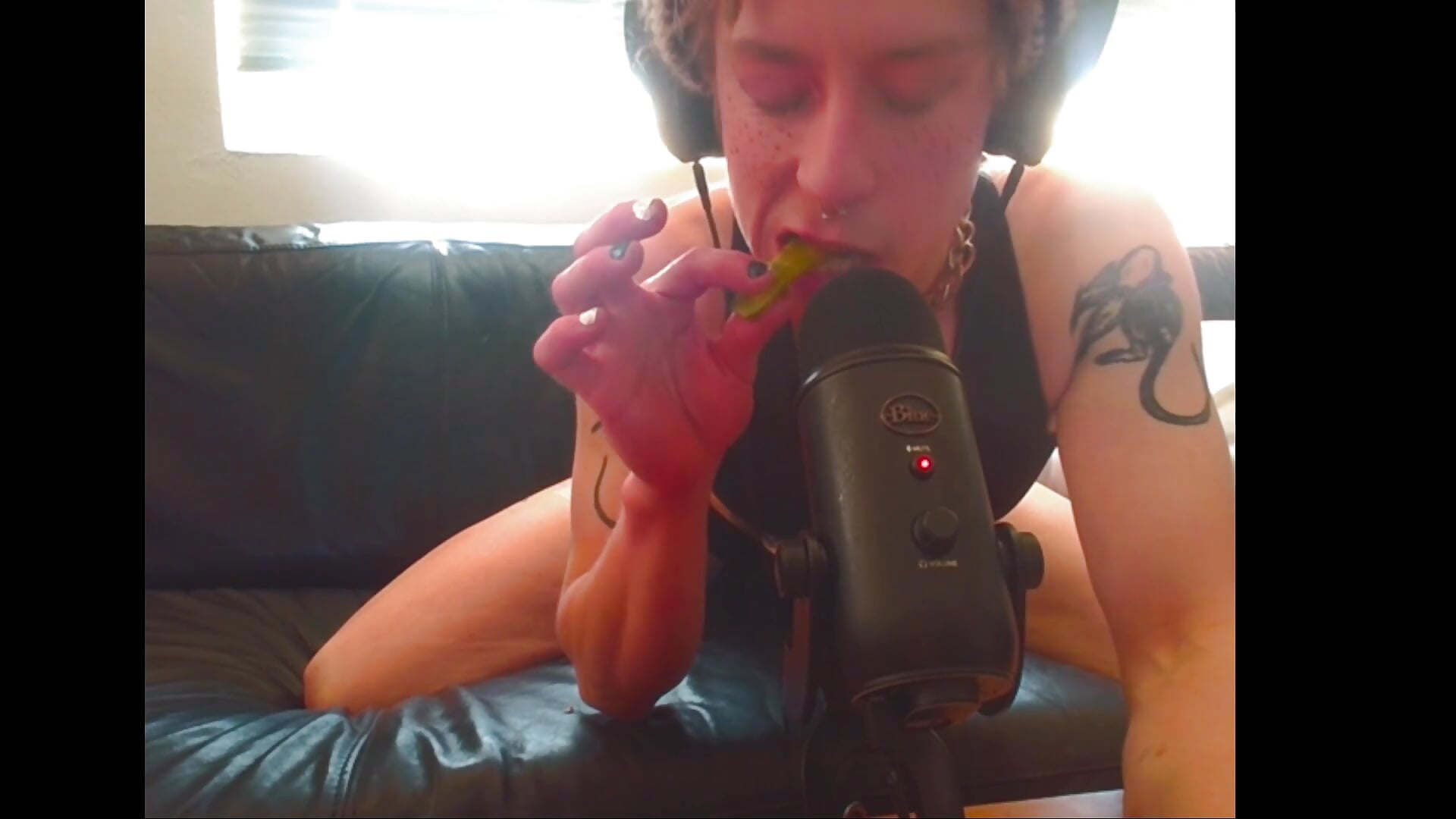 PICKLES MAKE THE BEST CRUNCH - video od Stray_Kitty