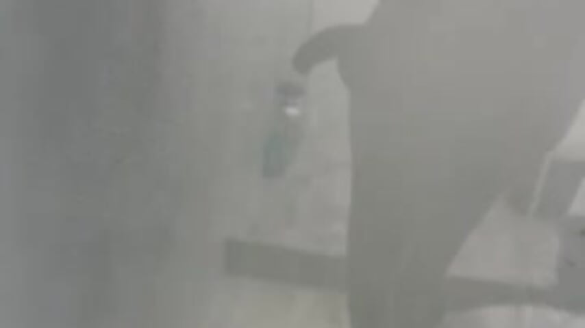 En el vidrio - video oleh pitopit