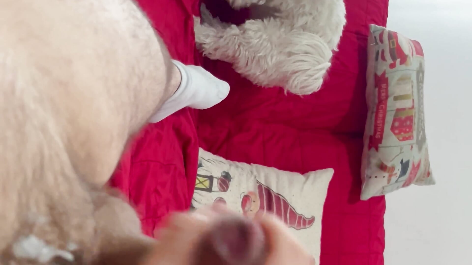 Segone con anello e super sborrata - clip cu CRIBSX