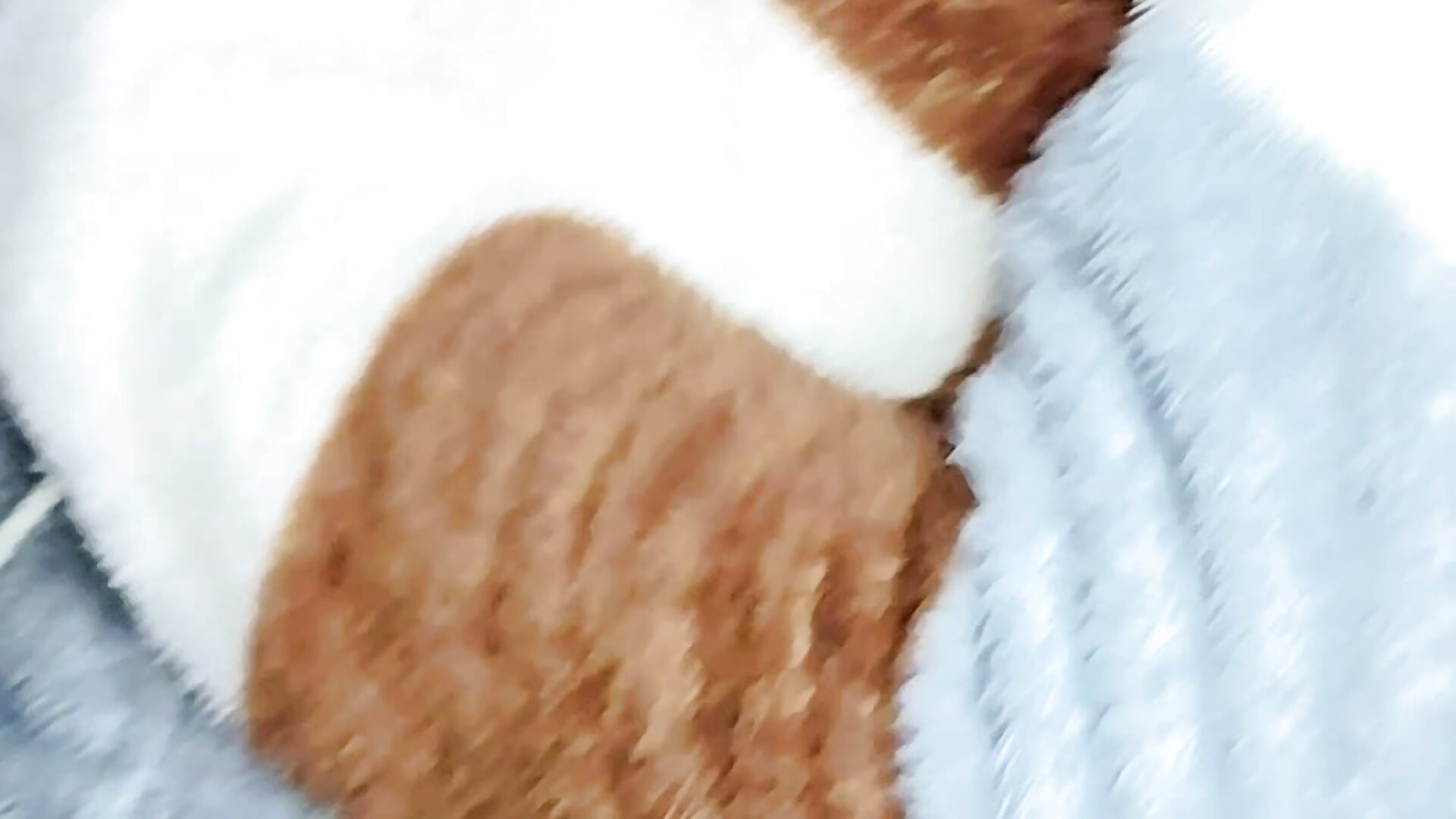 Hello candy 😘 - video oleh kary-doll