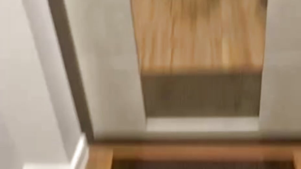 8406015306656440013 - clip cu FoxyDolKate