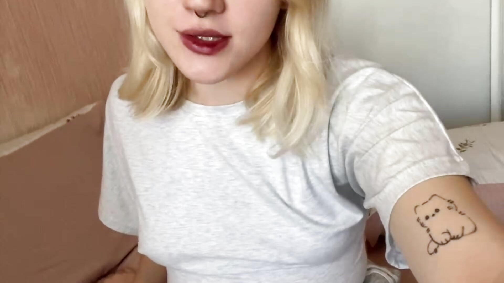 meow:3 - video Lally-Jhonas kameramallilta