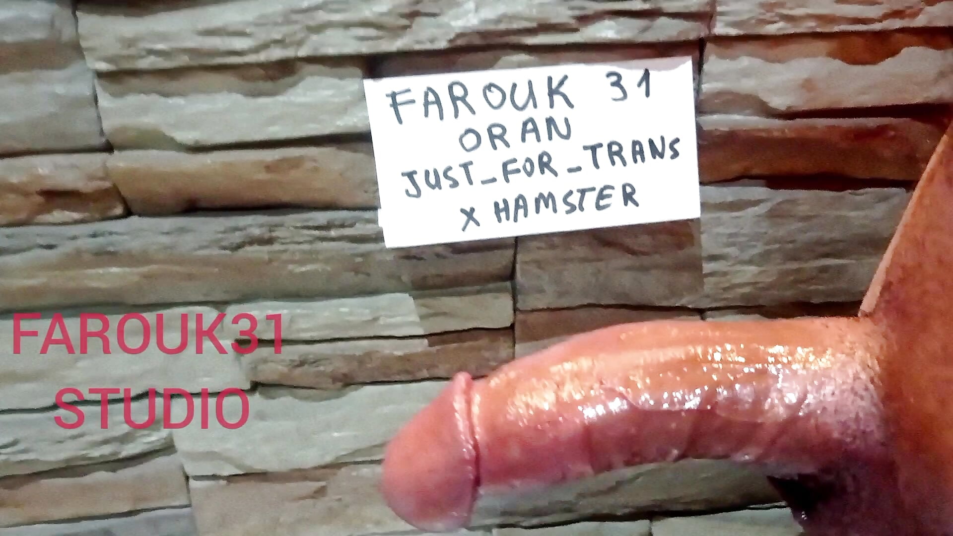 monster arabic dickالزب العربي المتوحش - فيديو من Just_for_trans موديل الكام