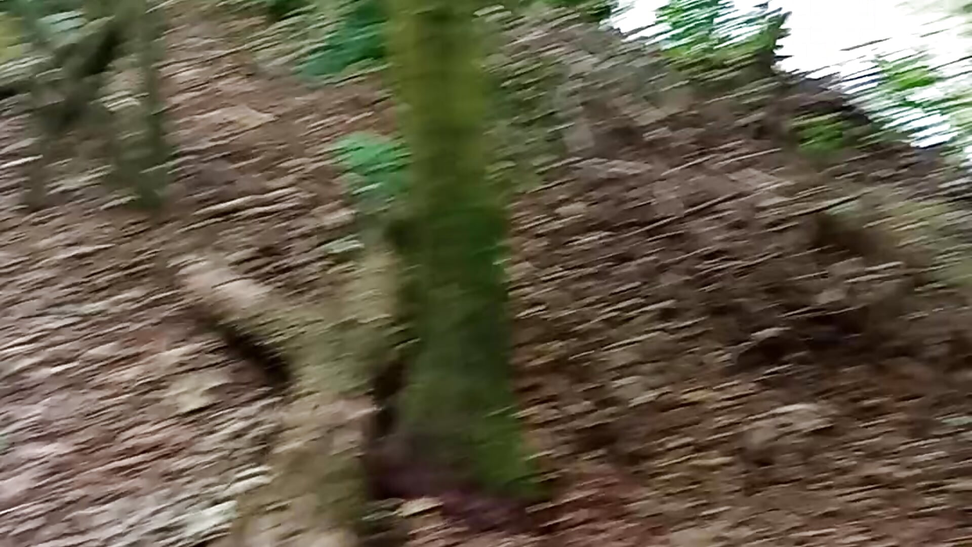 1616476703251 (1) - video by sweetshorexxx cam model