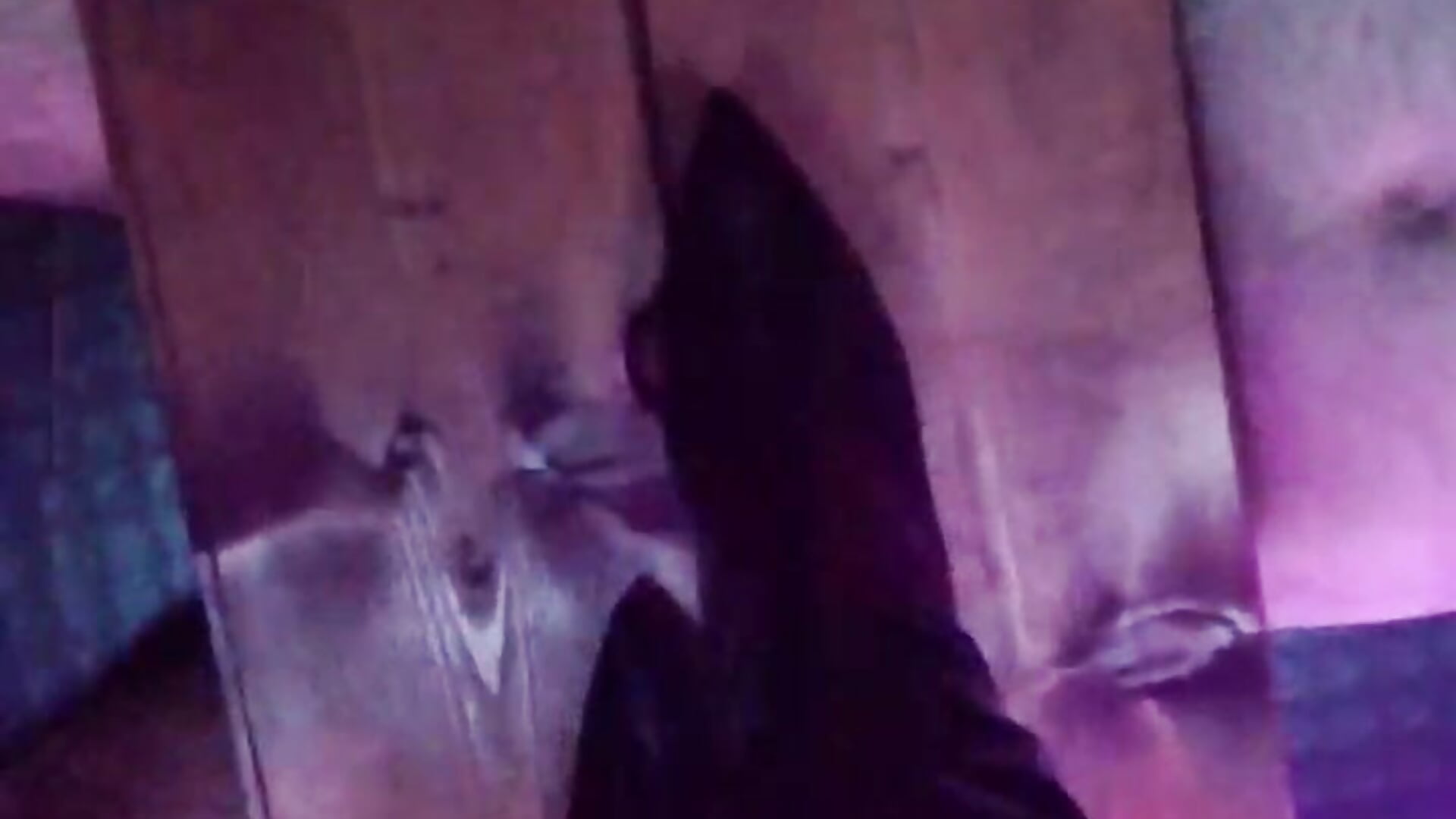 BDSM CON SLAVE - diavo72主播的视频