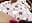 VID-20240828-WA0011 - video by diavo72 cam model