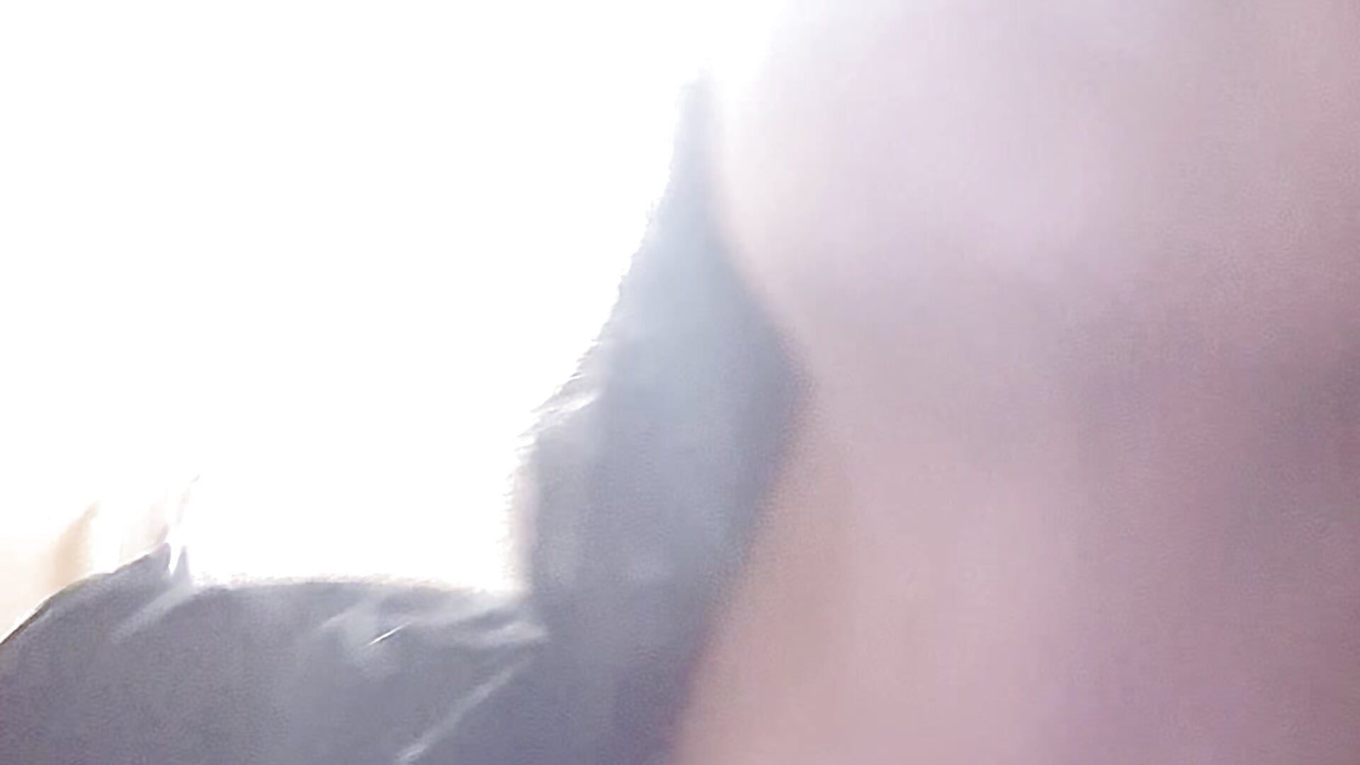 Excitedly on extasy on top of the whole world❤❤❤❤❤ - video by rposhta1991 cam model