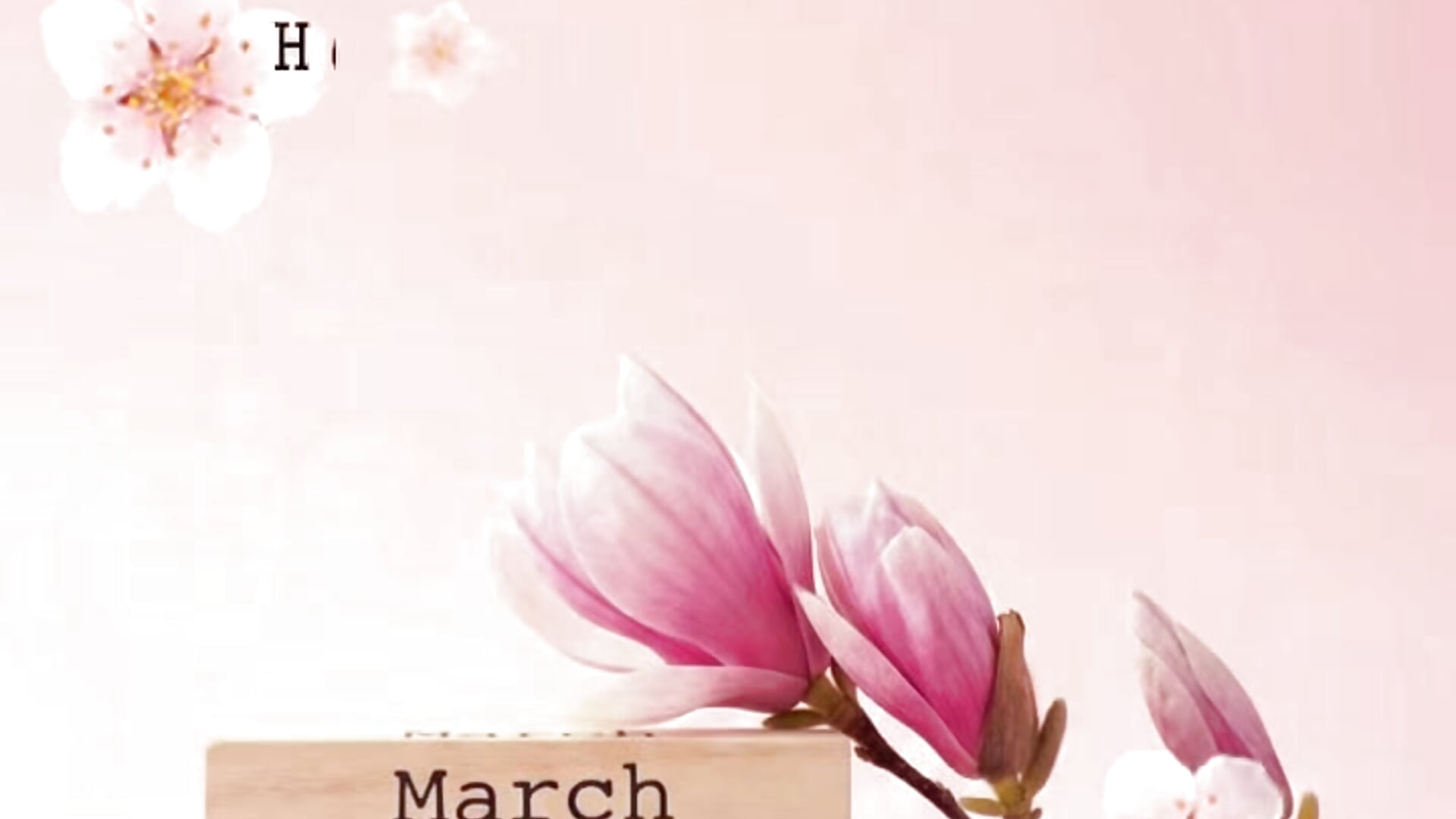 ❤️ - video by lucillabollente cam model