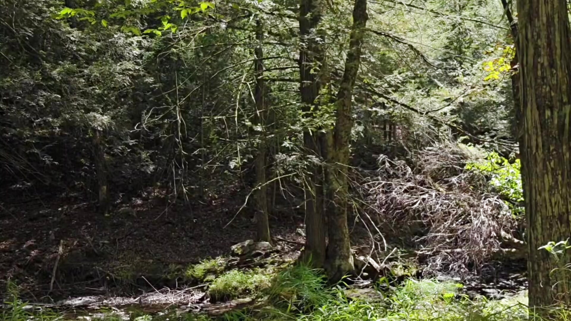 Goldie Lux 3 Squirts💦💦💦& 3Pussy Pumps - βίντεο μοντέλου MiraKisss