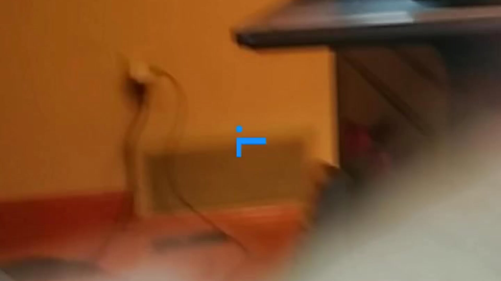 received_25949547_edit-1023412495 - فيديو من lilpervt موديل الكام