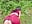 Naughty in the park - فيديو من Nalgonasex_ موديل الكام