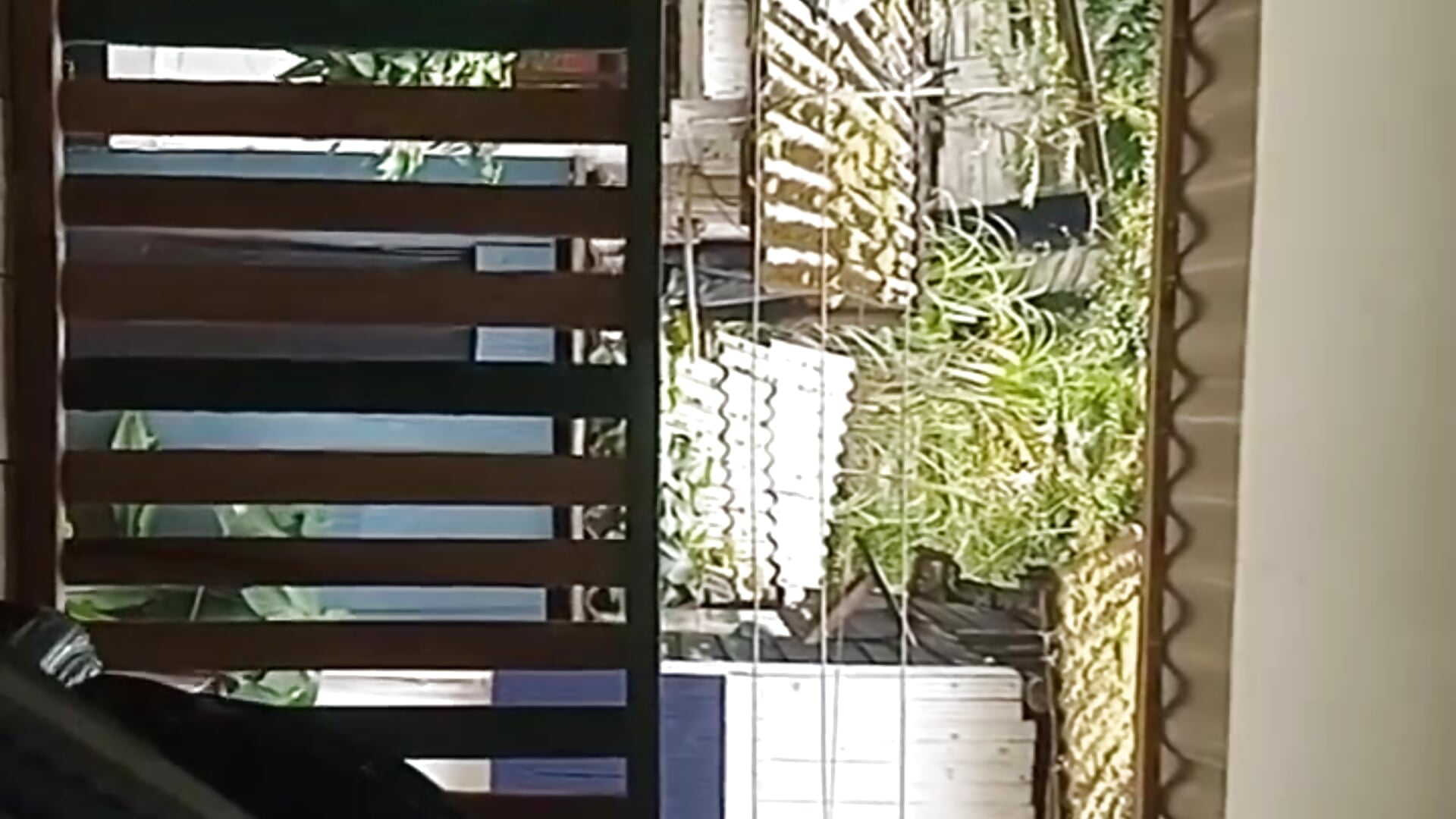 hogar - video của người mẫu cam africa_deluxe