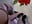 trim,B6EF0CB6-3548-4CDF-9DD9-478079684D14 - video by GanseloMix cam model