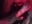 trim,0BFE5F68-3AB8-4DFF-9524-90EBB1AA7B48 - video by GanseloMix cam model