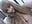 trim,AFADA84C-C582-46EA-9DA2-934B211D51B9 - video by GanseloMix cam model