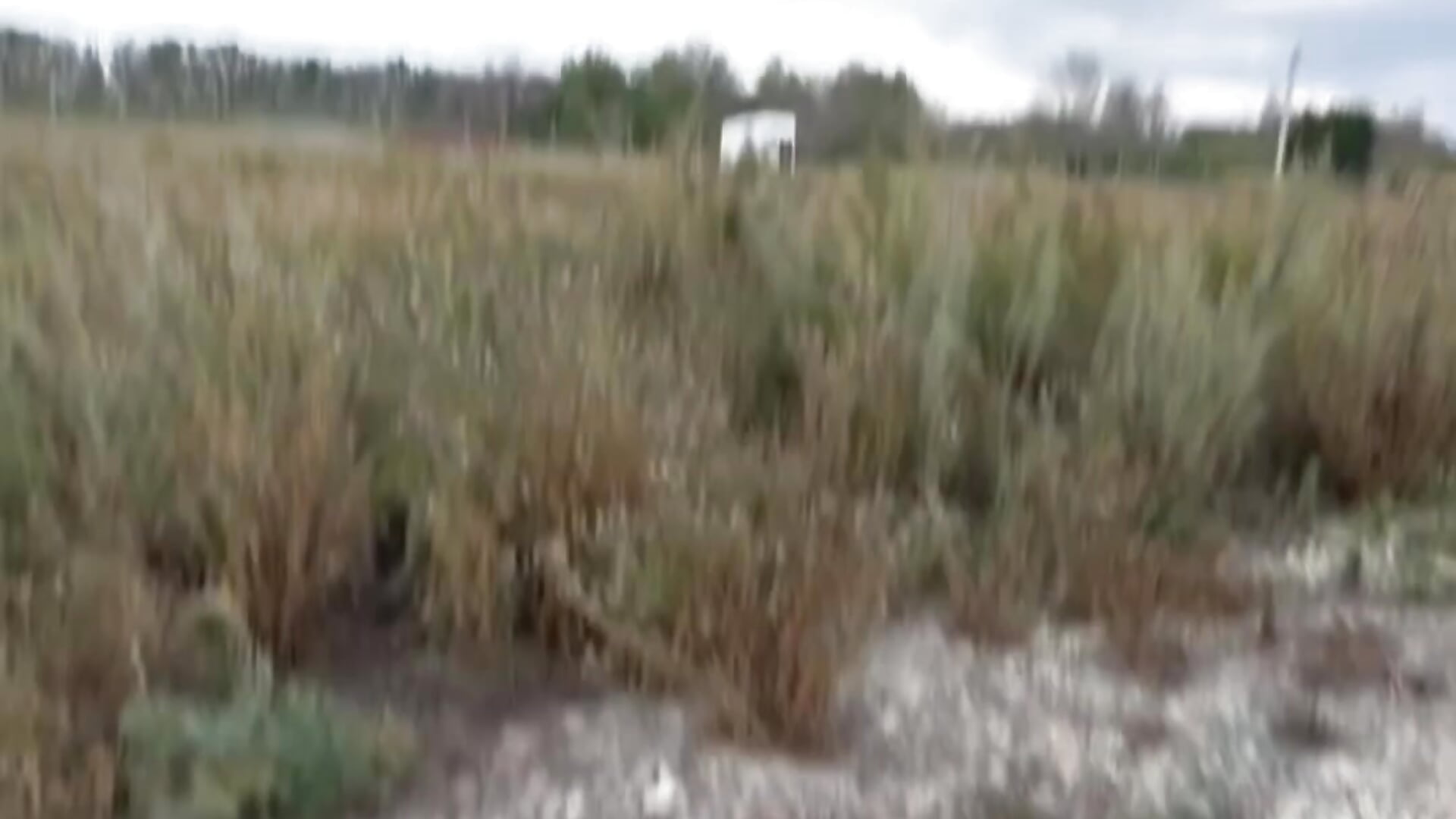 Xdddddddd - video by GanseloMix cam model